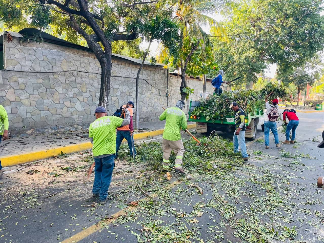 Servicios Públicos mantiene en óptimas condiciones las áreas verdes de la ciudad