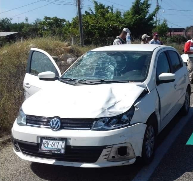 Automovilistas se quejan de ganado en carreteras