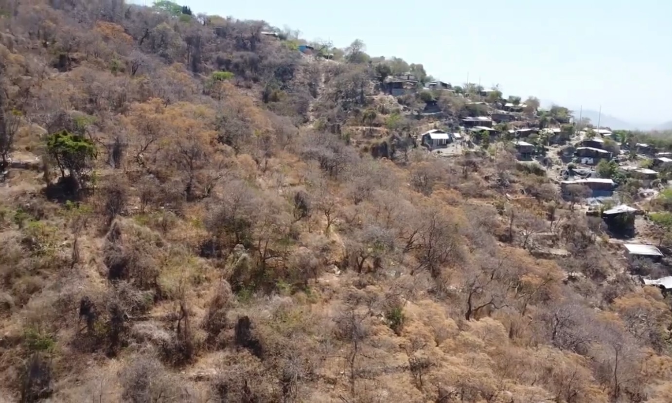 Se protegen áreas verdes para evitar invasiones y desorden urbano