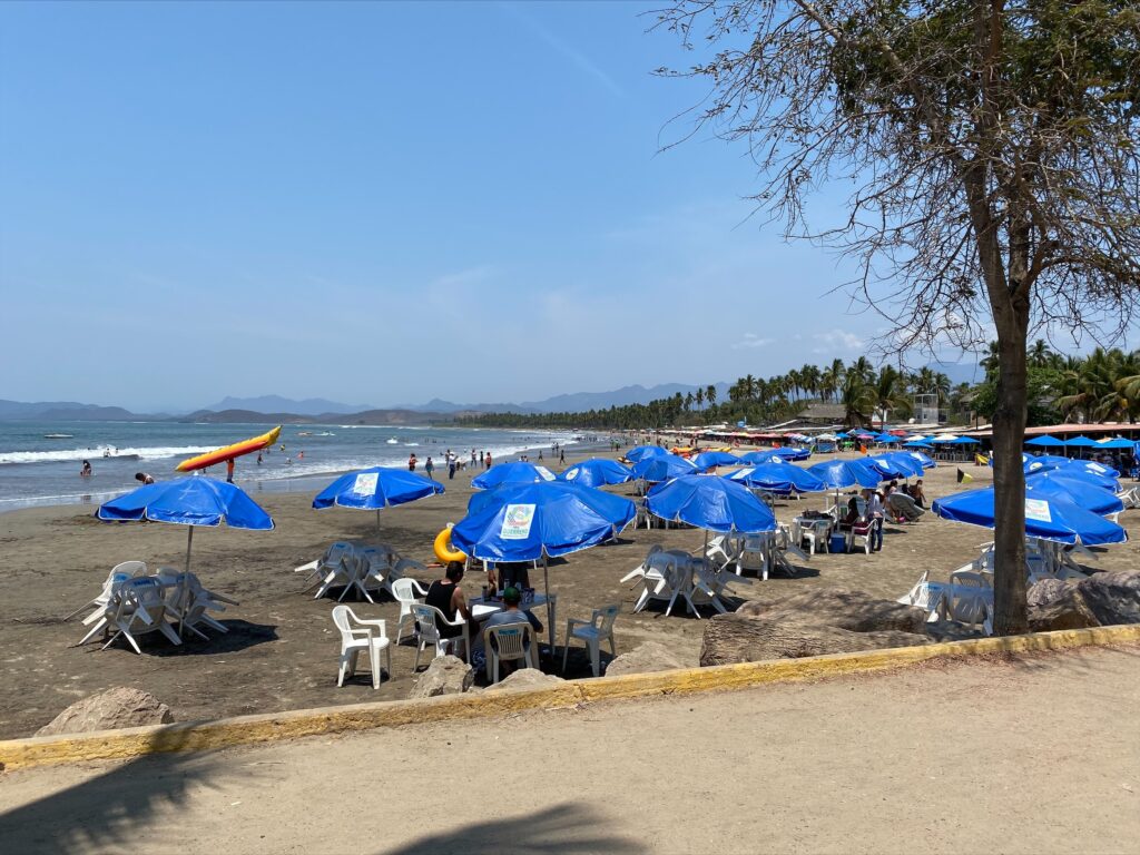 Promotora de Playas de Zihuatanejo desaparecerá