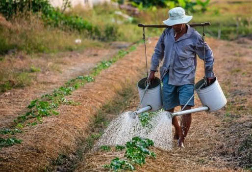 Reconocen rezago en la atención del campo en Zihuatanejo