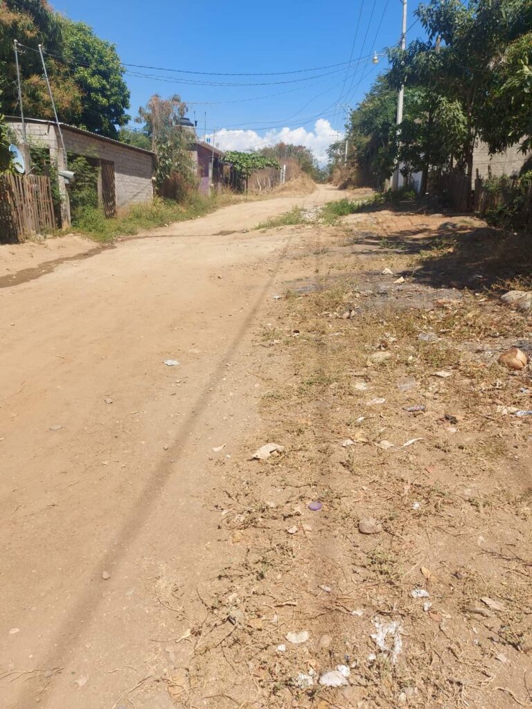 Solicitan pavimentación de calle en El Súchil