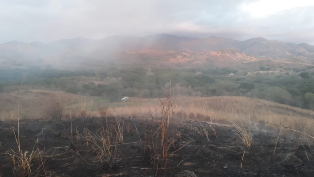 90 hectáreas se han consumido por incendios forestales en Petatlán