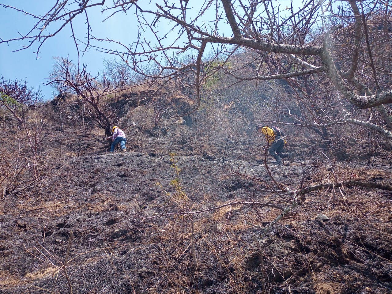 Sube a 17 el número de incendios forestales en Guerrero: SPC