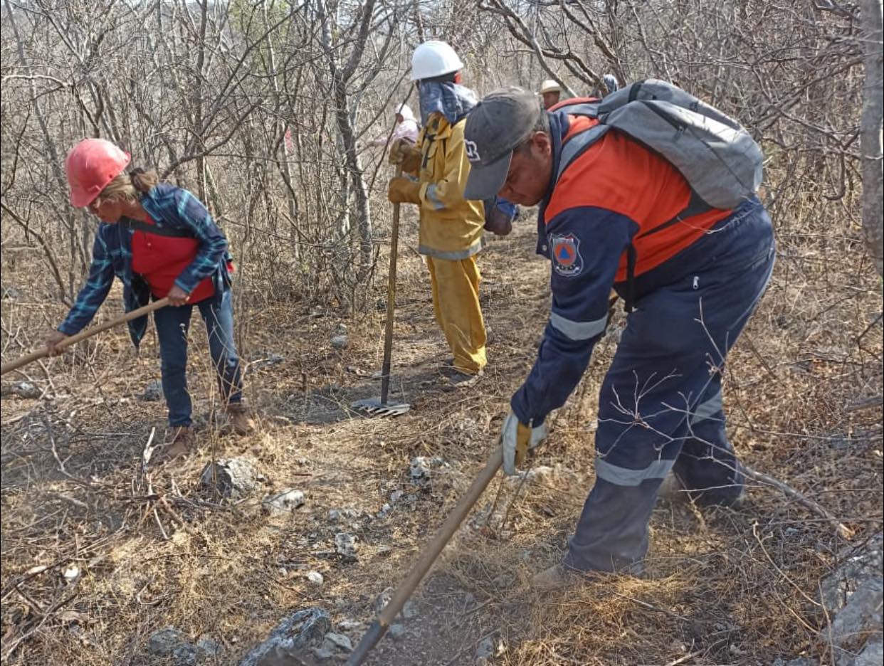 Luchan brigadistas contra doce incendios forestales en el estado