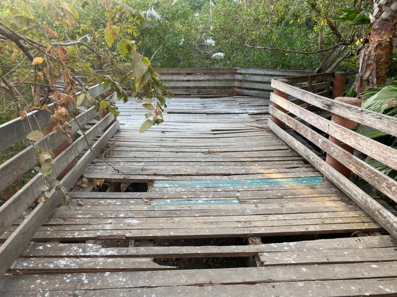 Luego de permanecer en años de abandono, Gobierno municipal rehabilitará cocodrilario de playa Linda