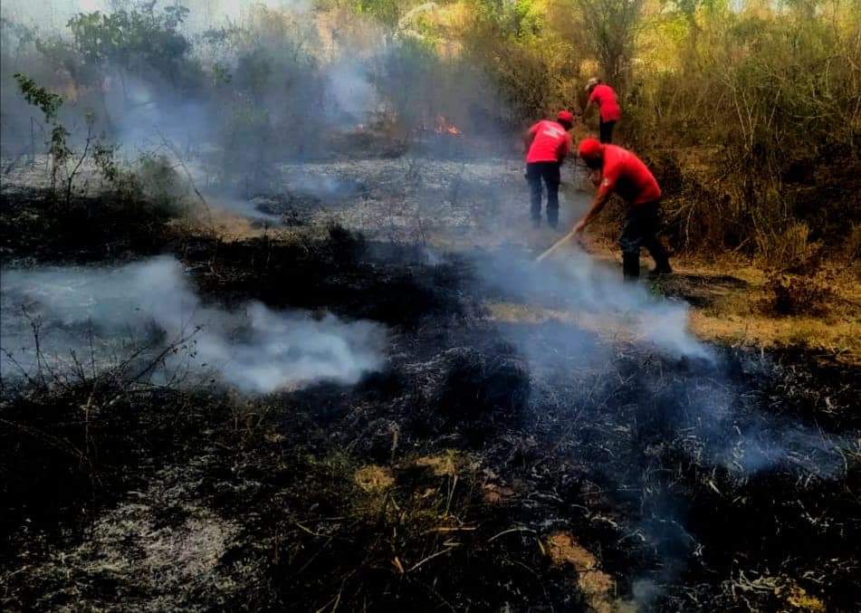 Incendio forestal llega a basurero de Atoyac