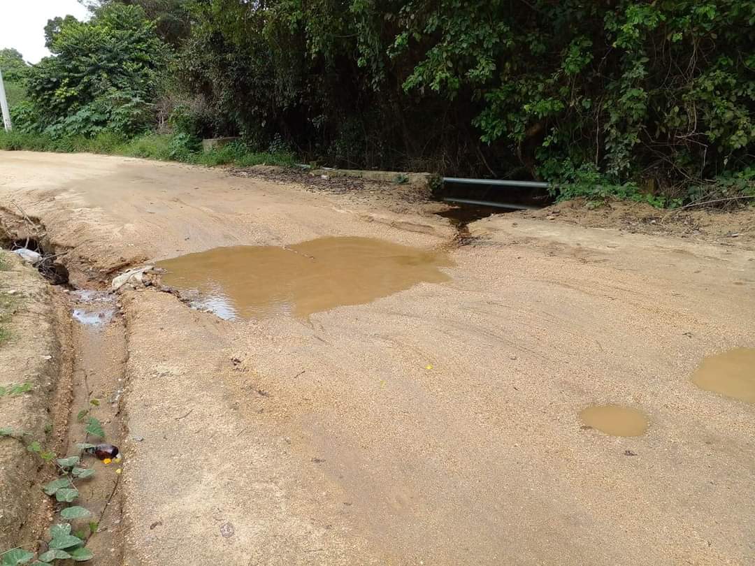 Solicitan pavimentación a Bajos del Ejido