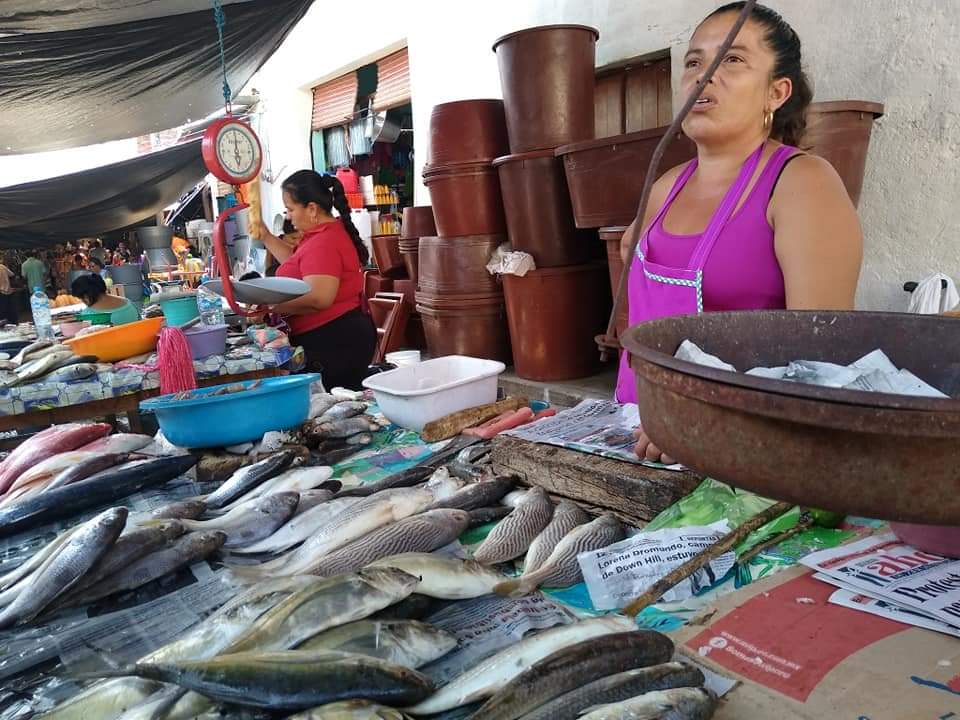 Bajas ventas de pescados y mariscos en Atoyac: Vendedoras