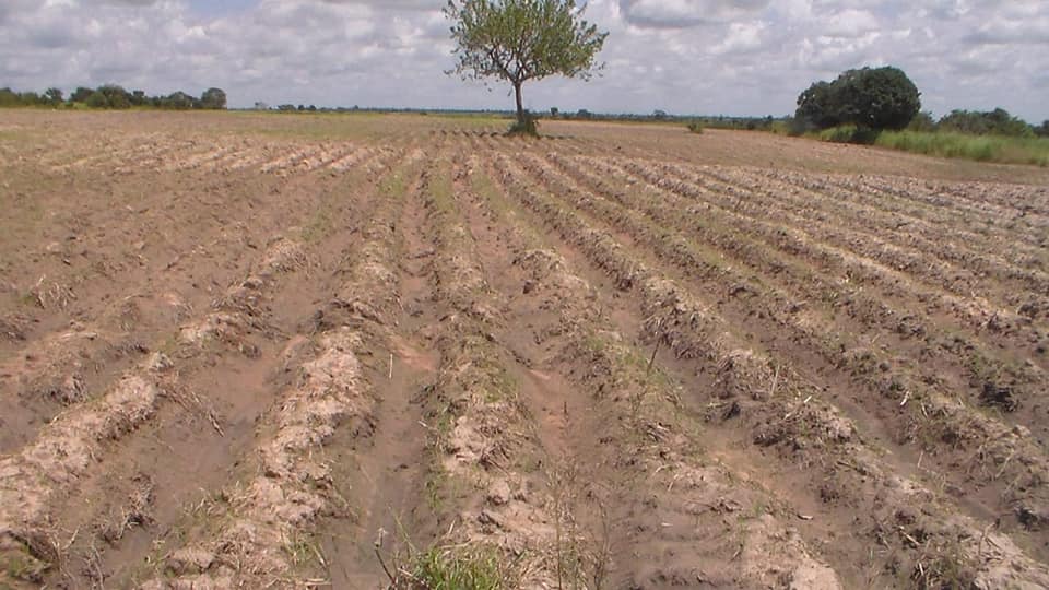 Lamentan poco apoyo a ganaderos de Técpan