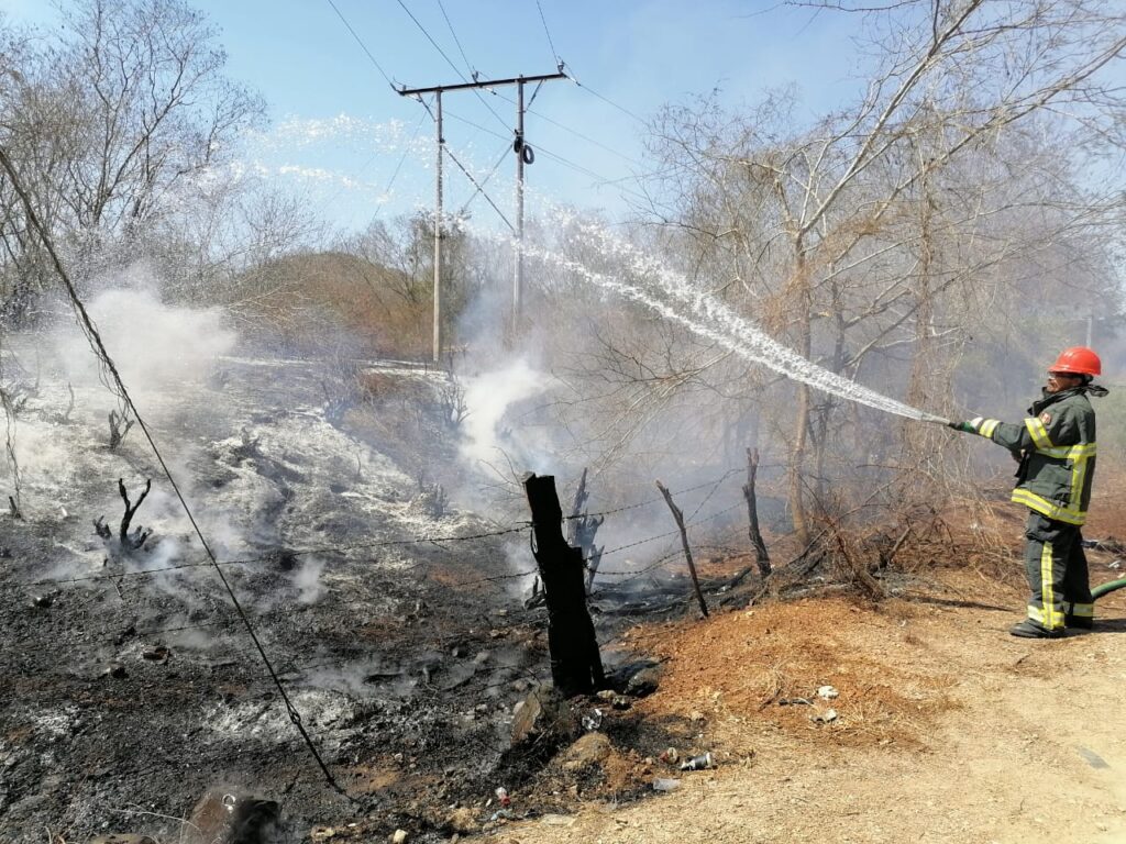 Alertan por el incremento de incendios en pastizales en Técpan