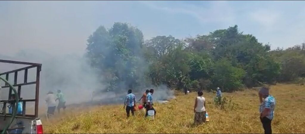 Trabaja Protección civil municipal; sofoca incendio en ejidos de Mecatepec-Barrio Nuevo y Tecoanapa