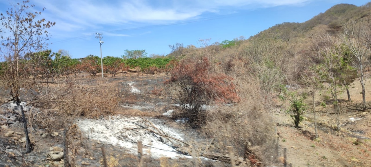 Bomberos piden a población que reporte incendios