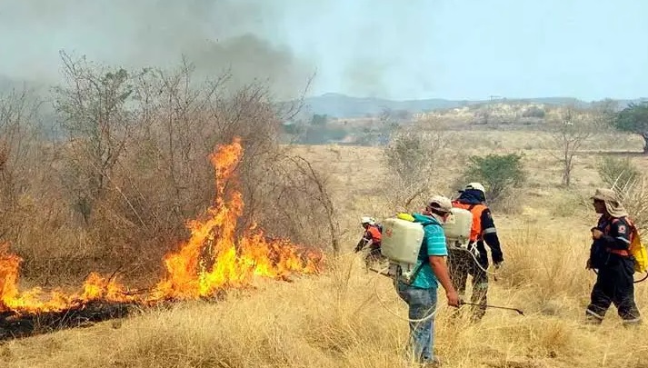 Incendios podría prevenirse con capacitación, afirman