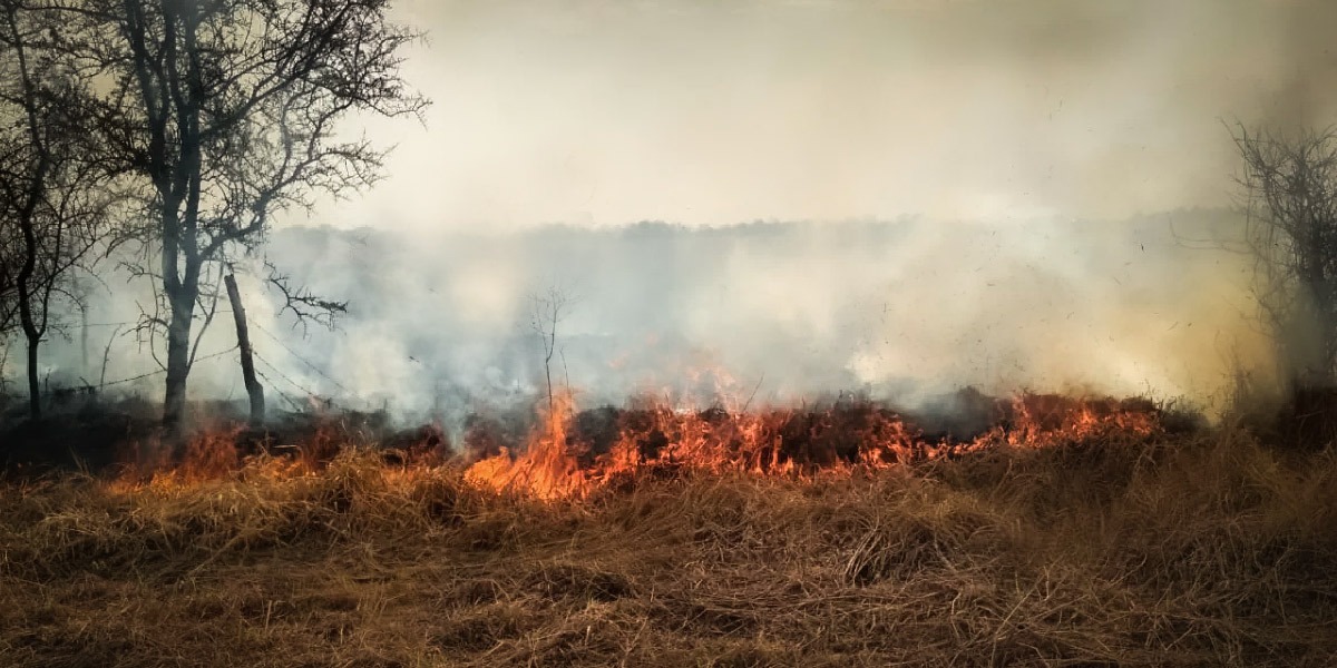 Fuertes vientos alentaron incendios en el municipio