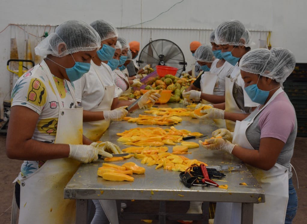 La SEFODECO impulsa el  empoderamiento económico de las mujeres