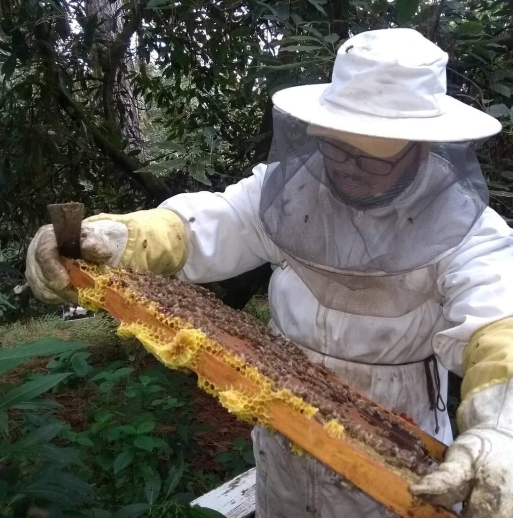 Cambio climático afecta la producción de miel
