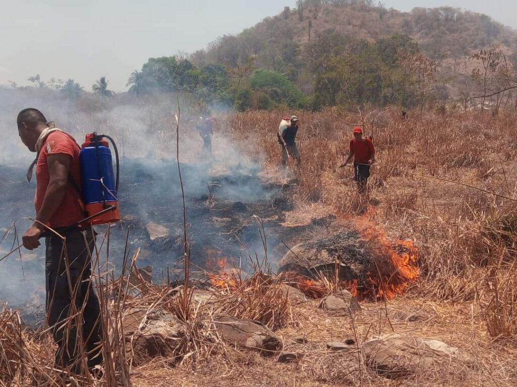 Incendio arrasa con 10 hectáreas en Atoyac