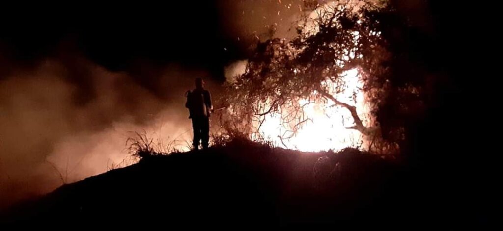 Incendio arrasa con varias hectáreas en Atoyac
