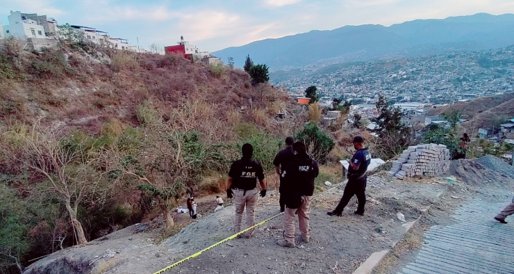 En Chilpancingo… Hallan cuerpo de un jovencito colgado de un árbol; se suicidó