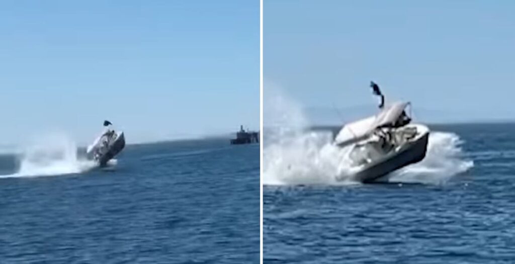 Embarcación choca con ballena en Baja California Sur; hay varios heridos