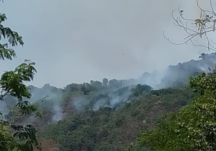 Incendio en la sierra ha consumido varias hectáreas, alertan
