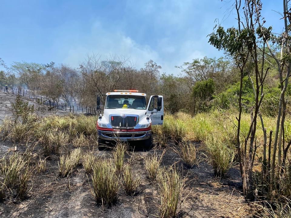 Incendio consume 50 hectáreas de pastizales en zona oriente de Zihuatanejo