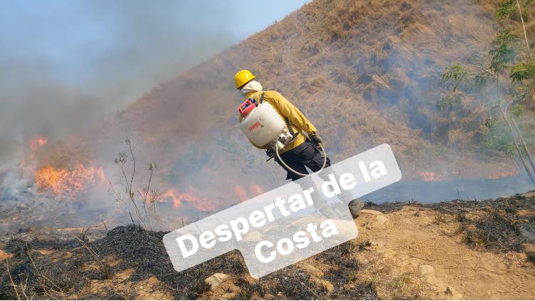 263 hectáreas de pastizales afectadas durante temporada de incendios en Zihuatanejo