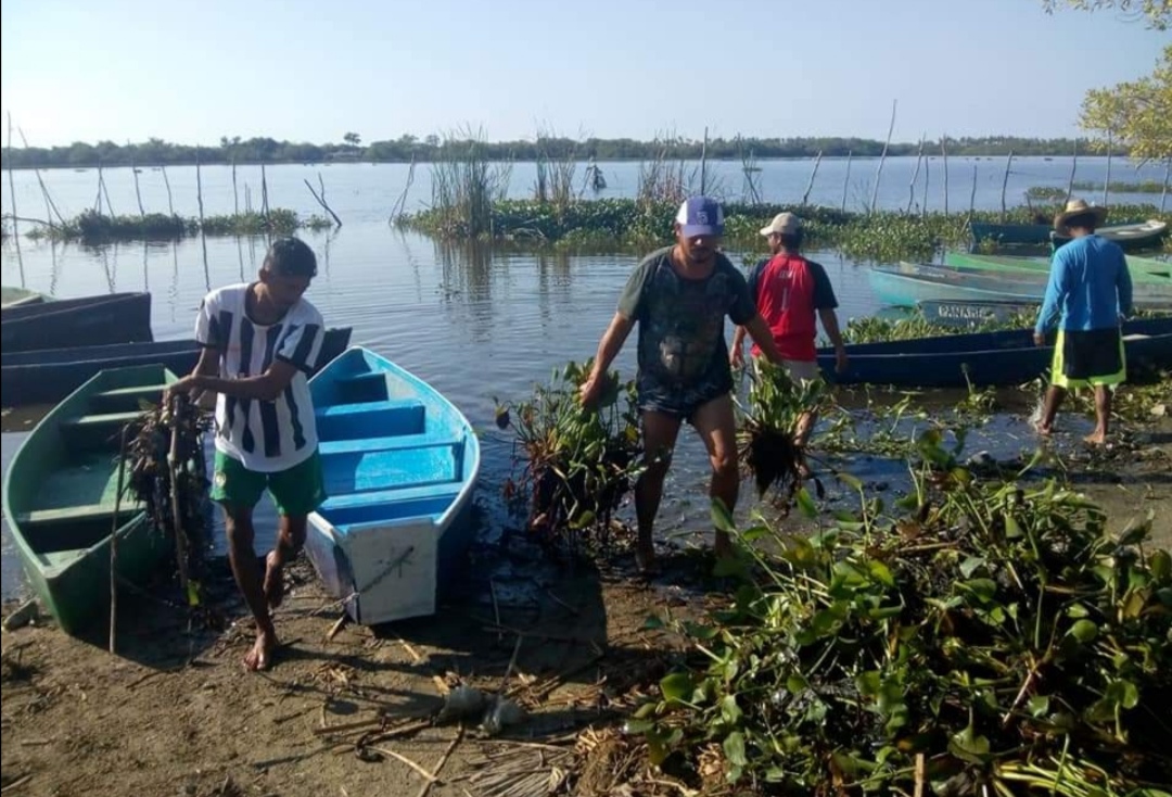 Baja 70% la pesca en Atoyac