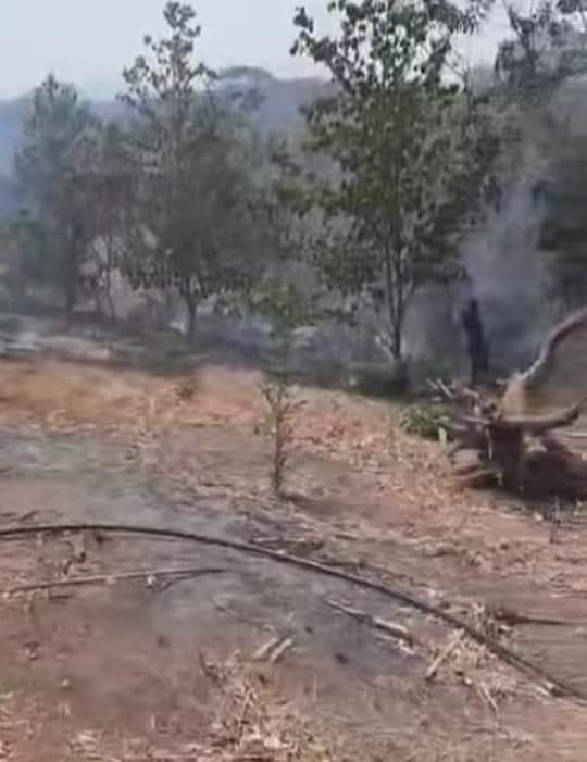 Incendio arrasa con huertas de árboles frutales en Atoyac