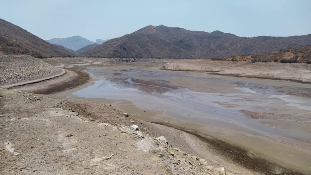 En Ajuchitlán del Progreso…  Por una severa sequía, miles de peces mueren en la presa “Andrés Figueroa”  