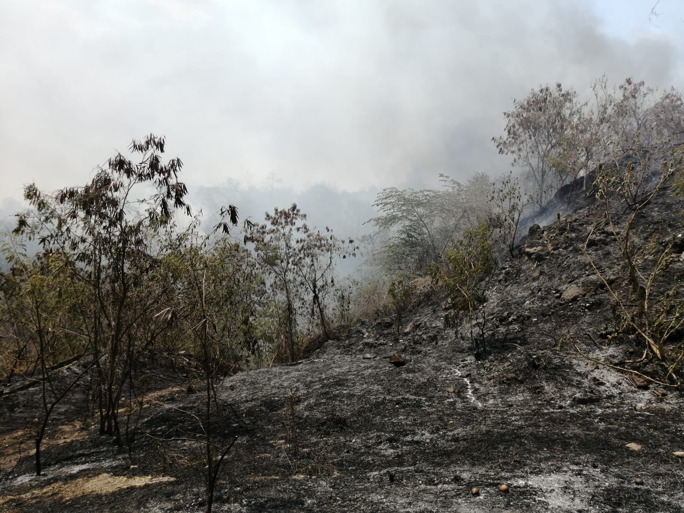 Bomberos sofocan incendio de pastizales en Zihuatanejo