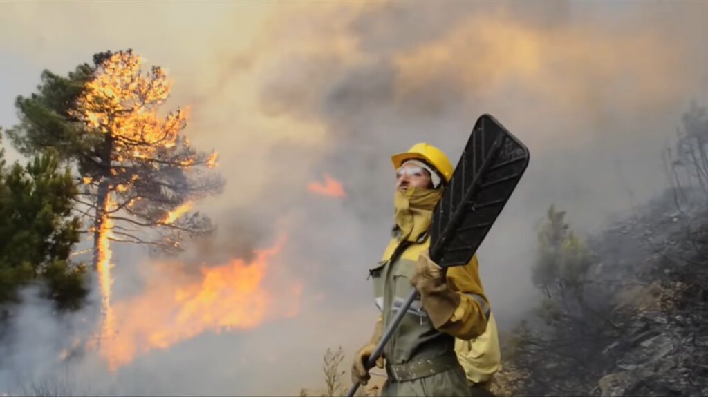 Confían en reforestar zonas incendiadas con programa federal