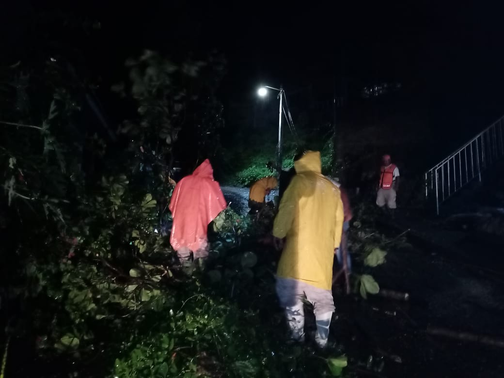 Daños menores dejan lluvias en Tecpan