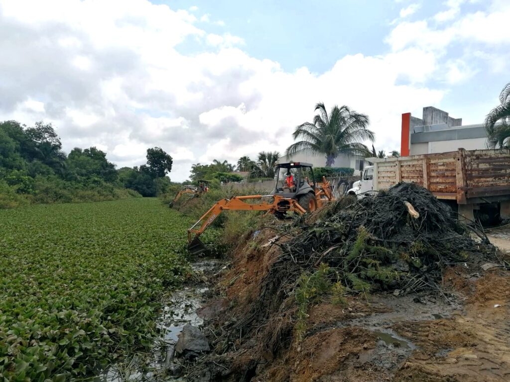 Realiza CAPASEG acciones para evitar contingencias por lluvias en Acapulco; limpiará 1.9 km de lirio acuático