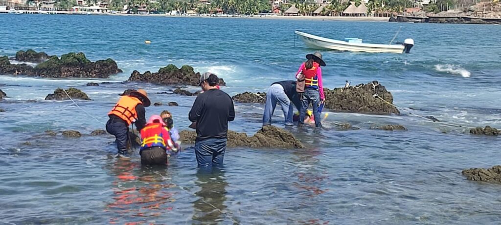 Estudiantes de la UNAM investigan arrecifes de La Madera