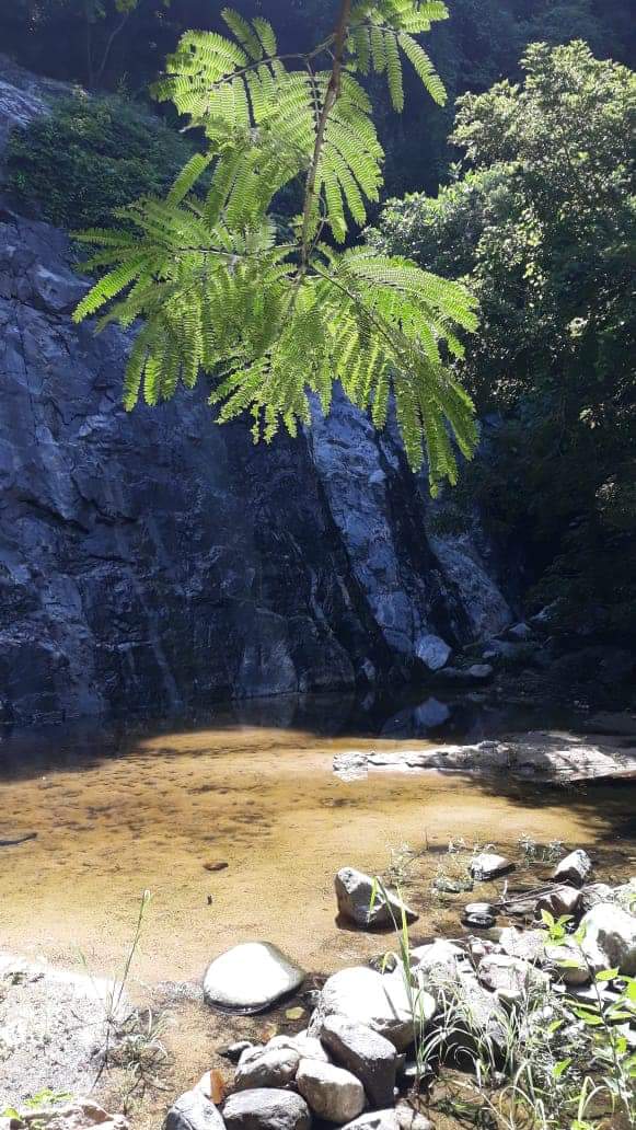 Se seca cascada en Atoyac