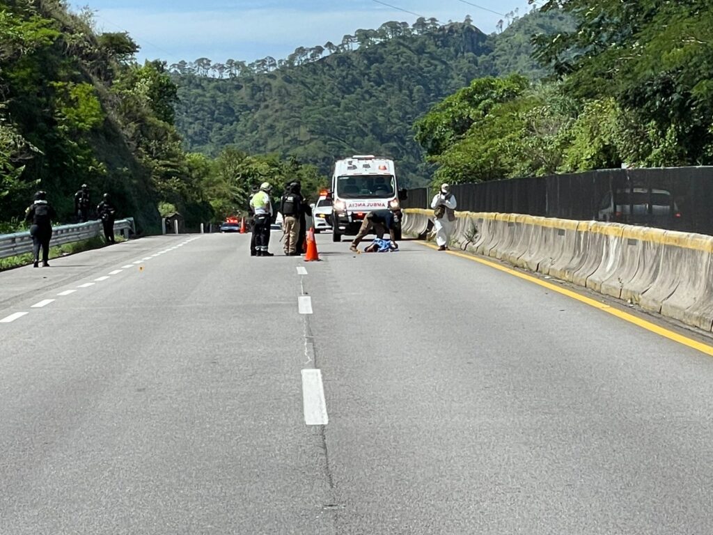 Muere un hombre arrollado por una camioneta en la Autopista del Sol