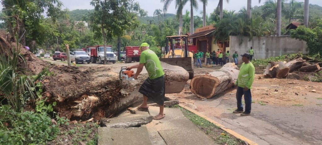 Inesperada tormenta deja daños menores en Zihuatanejo