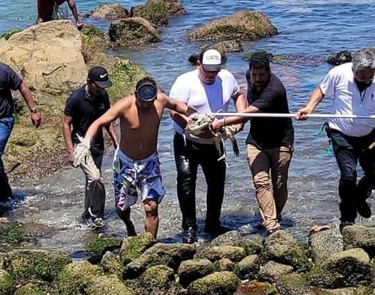 Atrapan a cocodrilo en playa de Acapulco; mordió a un elemento de PC y a un bombero