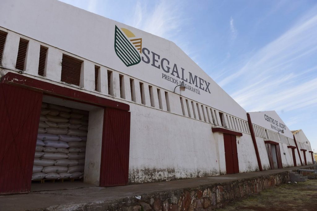 Se quejan industriales guerrerenses: Segalmex se niega a vender maíz a productores de masa y tortilla