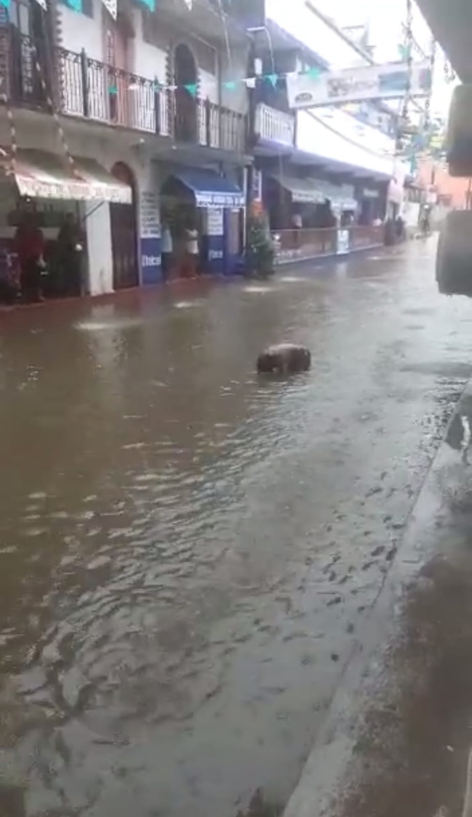 Se desborda un arroyo e inunda calles de un poblado, en Ometepec