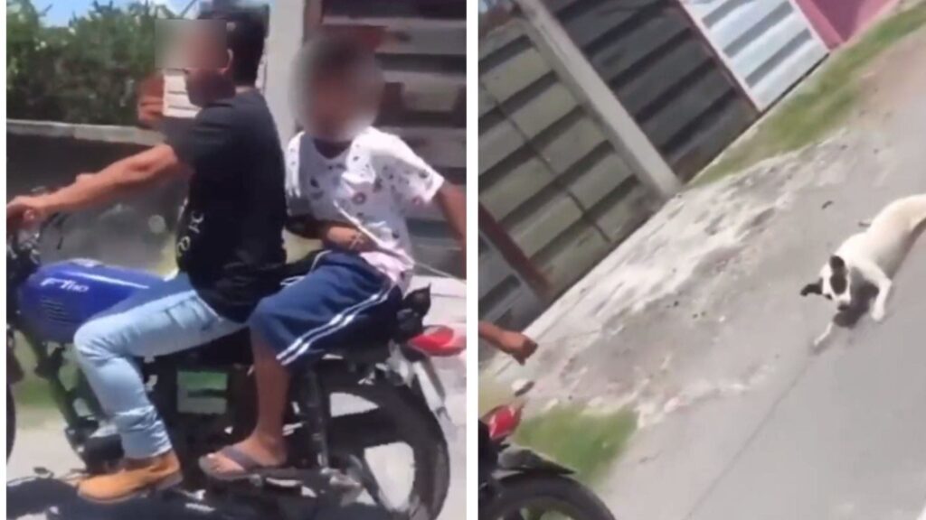 Identifican y denuncian a sujeto que arrastró a perrito en moto en Morelos