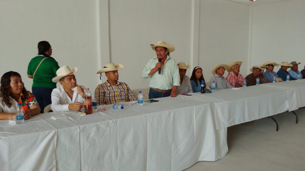 No asumirá José Alberto Nava Palacios la Alcaldía de San Miguel Totolapan