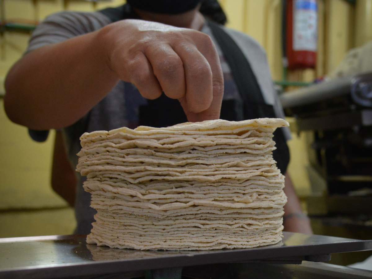 Segalmex no vendió el maíz a los empresarios de la Masa y la Tortilla