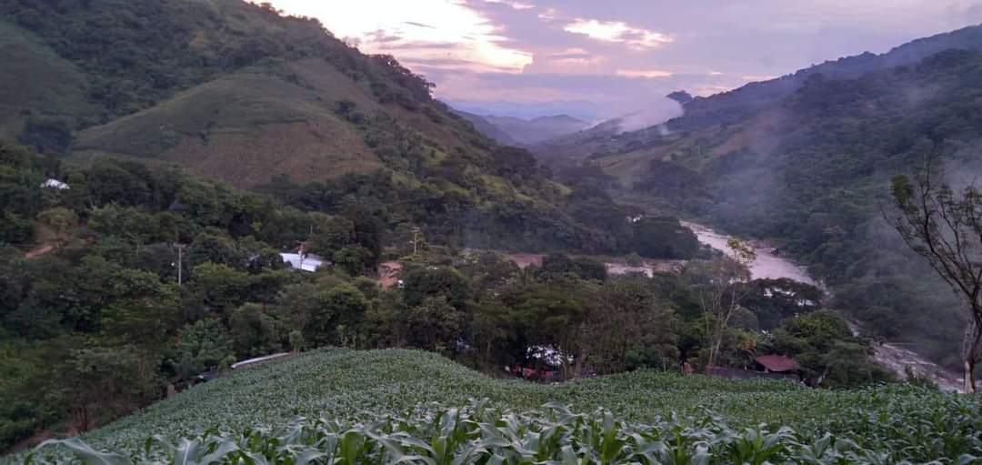 Reportan cortes de energía eléctrica en la sierra de Atoyac