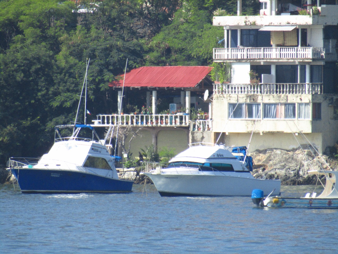 Cooperativas, listas para temporada de observación de ballenas