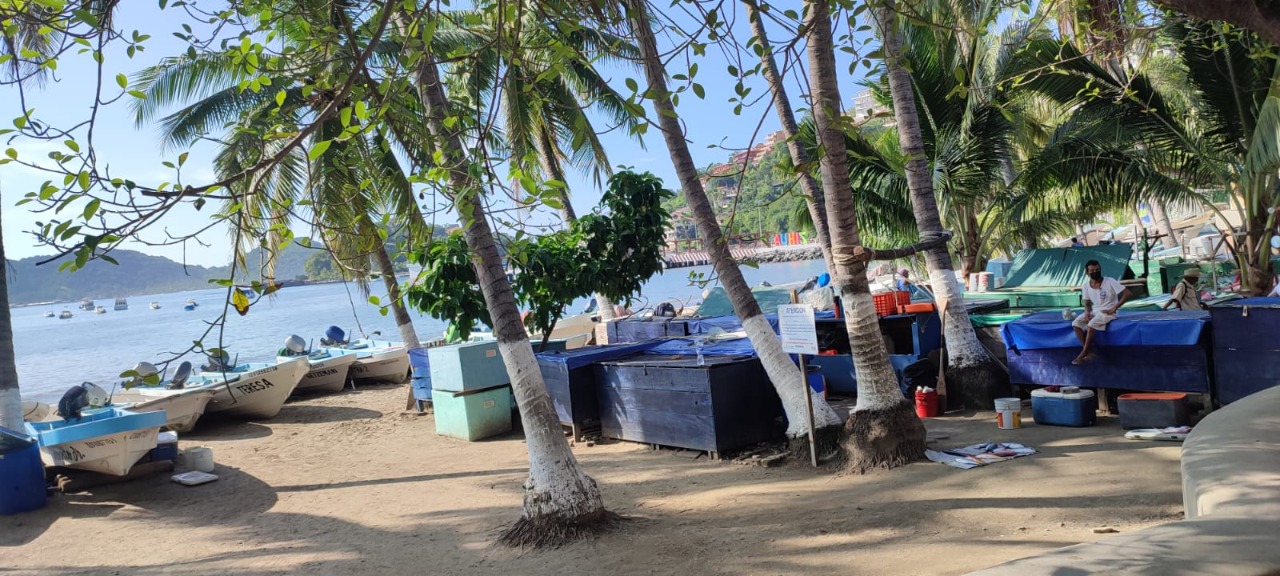 Mal tiempo afectó a pescadores; confían que situación mejore