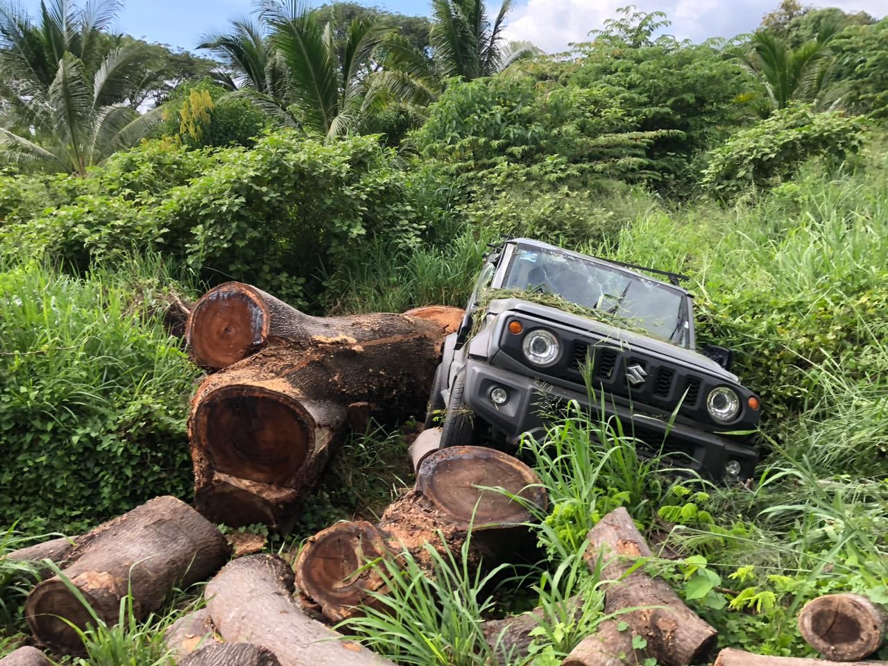 Vehículo volcó y chocó contra troncos al salirse de la Acapulco-Zihuatanejo