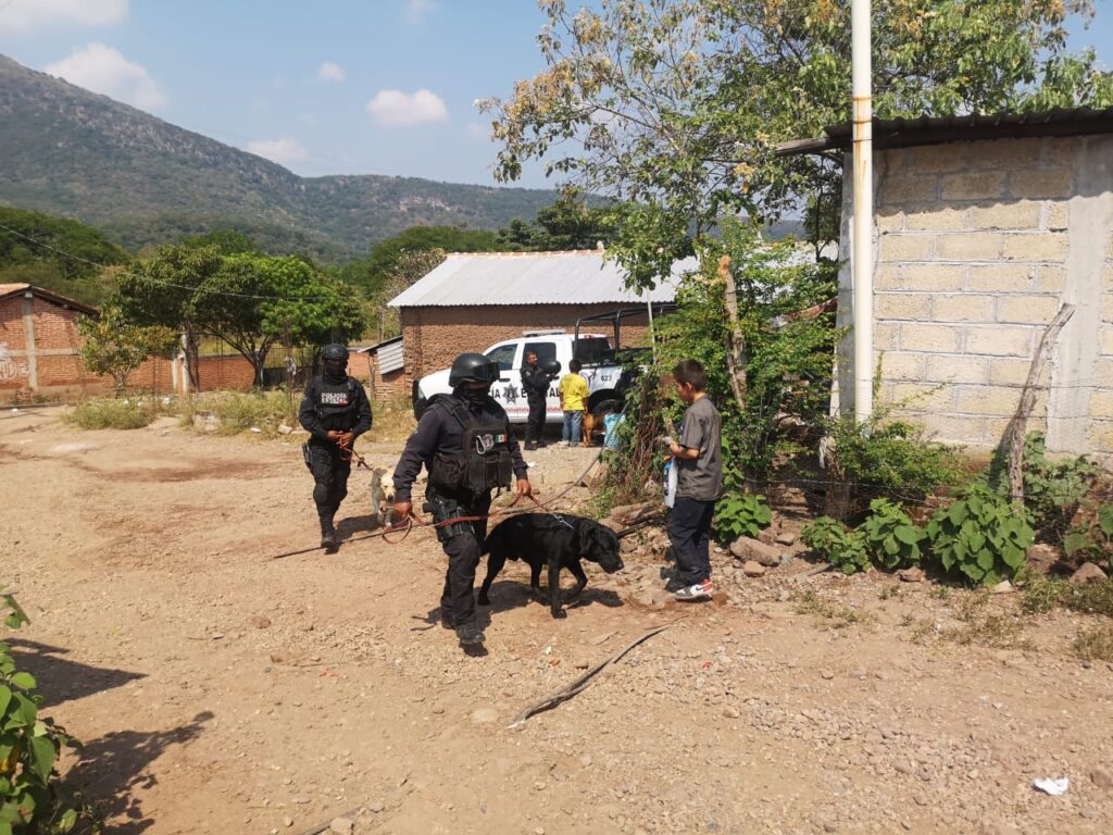 Se suma brigada de binomios caninos de la Policía Estatal a la búsqueda del menor de edad en Tlapehuala